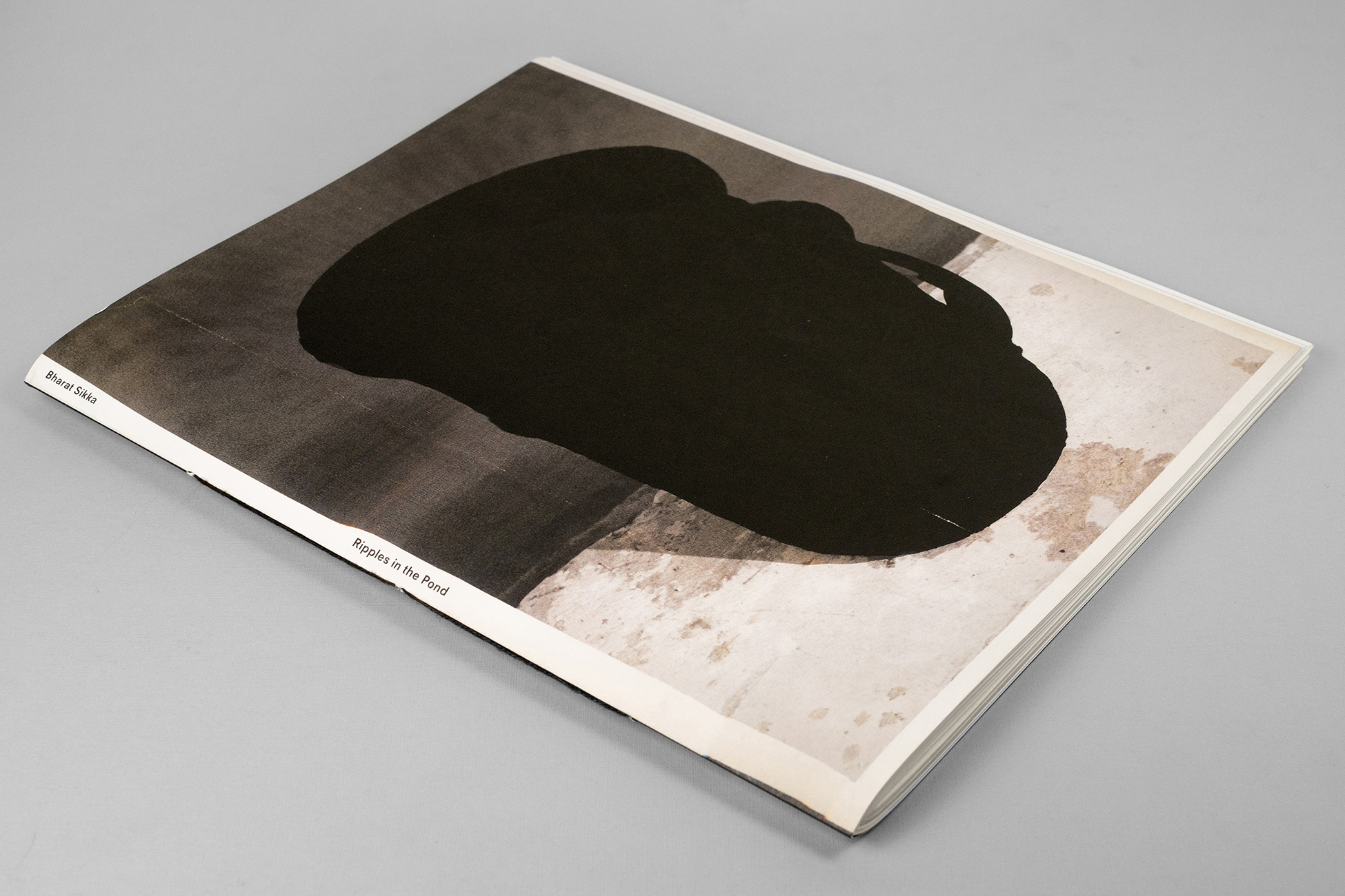 Bharat Sikka — Ripples in the Pond