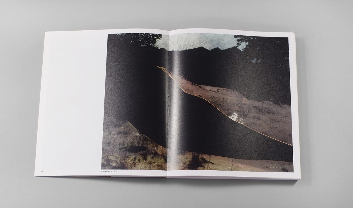 Dafna Talmor — Constructed Landscapes | Fw:Books