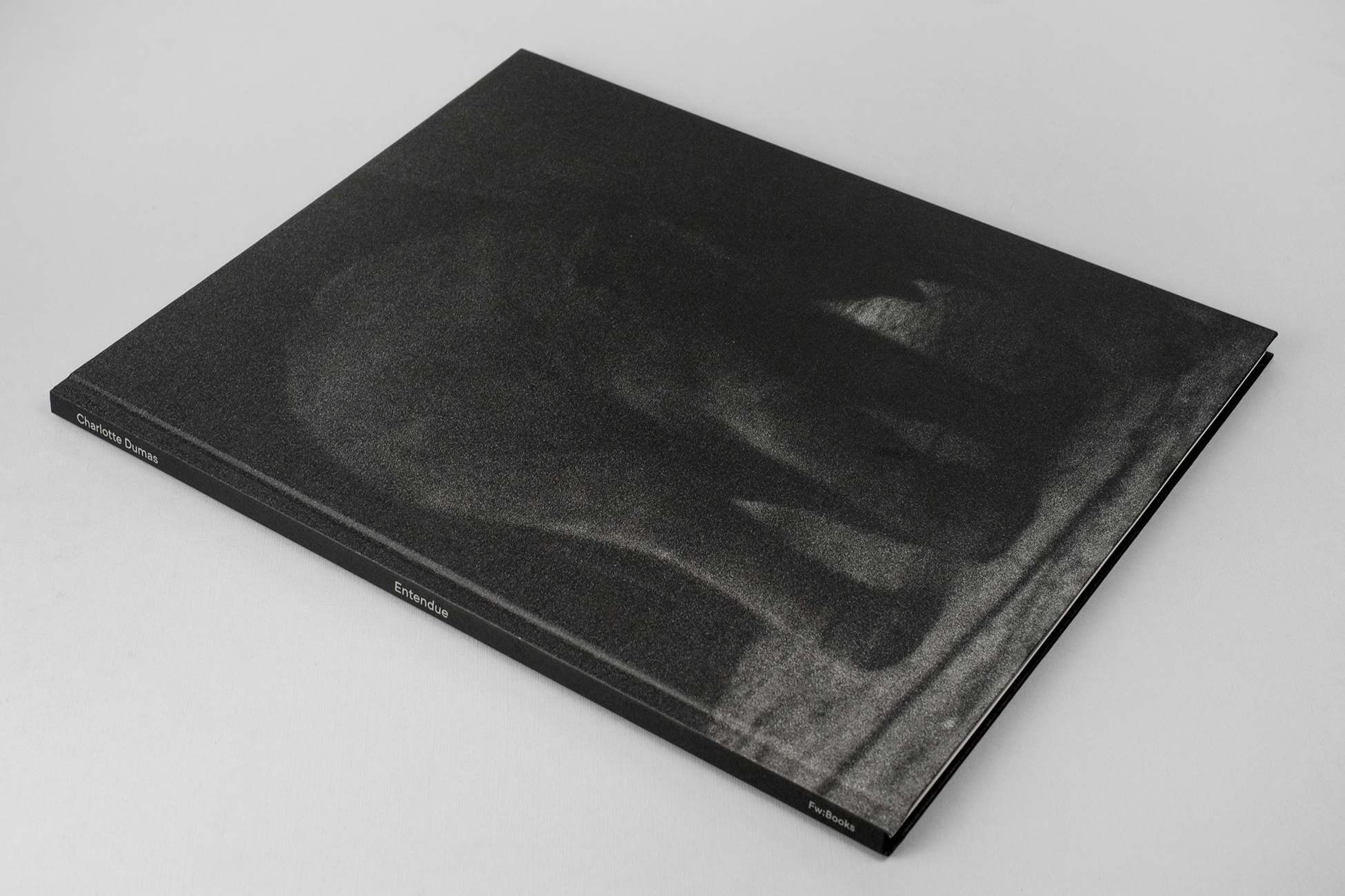 Charlotte Dumas — Entendue